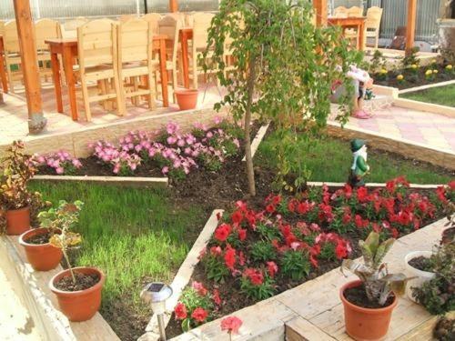 Vila Casa Maria 호텔 코스티네스티 외부 사진